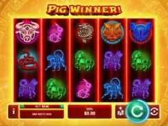 Pig Winner Slots